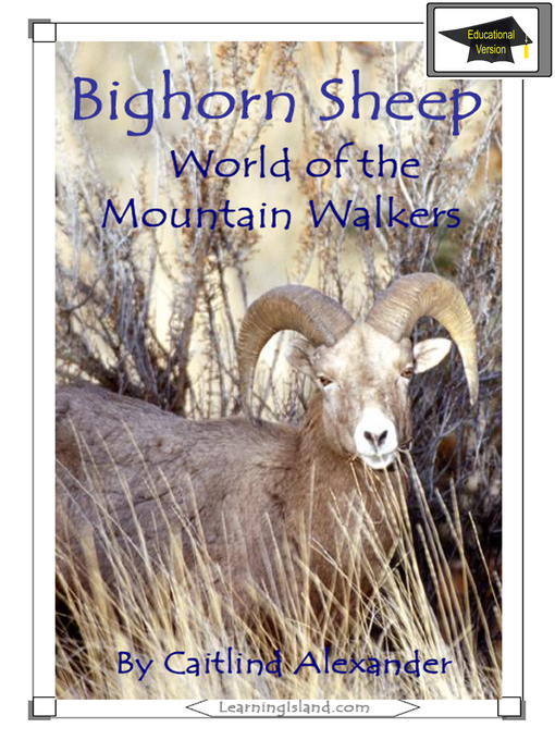 Cover image for Bighorn Sheep